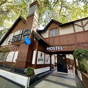  Auberge de jeunesse Gorilla